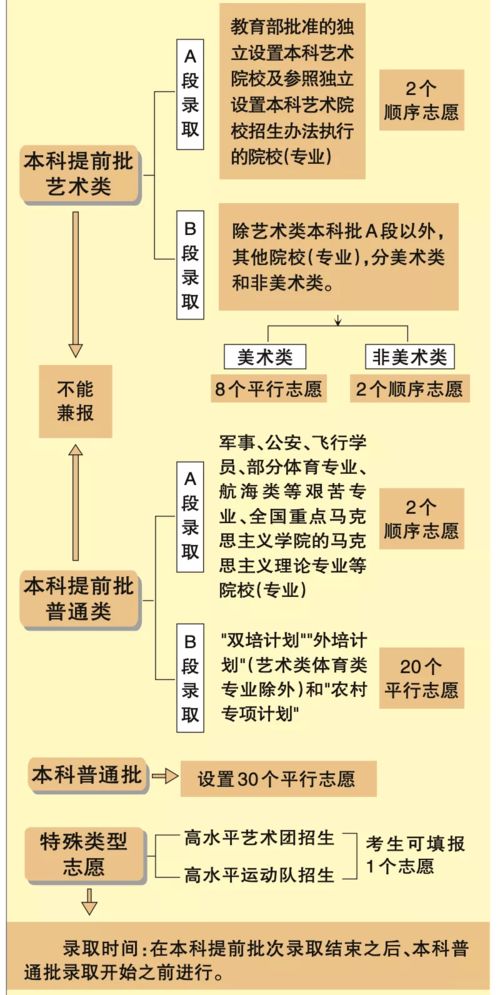 本科志愿填報昨起啟動，一圖讀懂志愿填報政策與流程